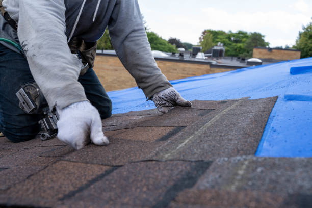 Quick and Trustworthy Emergency Roof Repair Services in Mount Vernon, AL